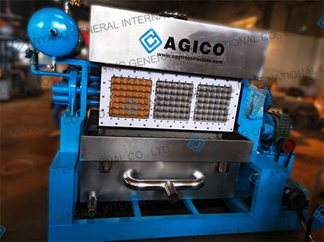 DT 3×4 egg tray machine