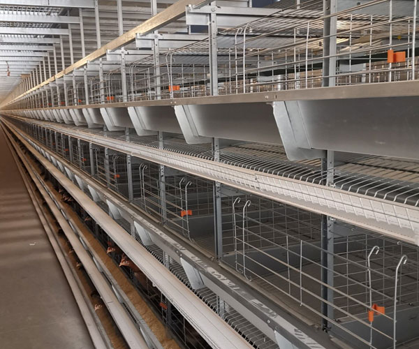 H frame layer battery cage
