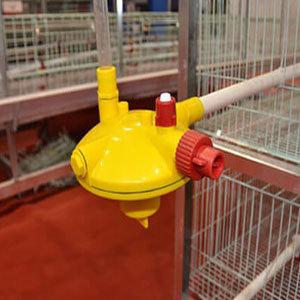 H type layer regulator