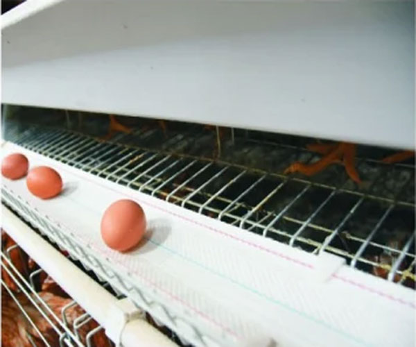 egg collection machine