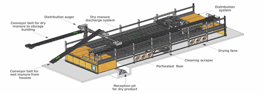 h type layer manure machine