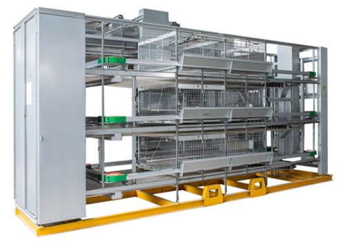 H automatic cage layer