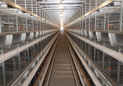 H type layer battery cage